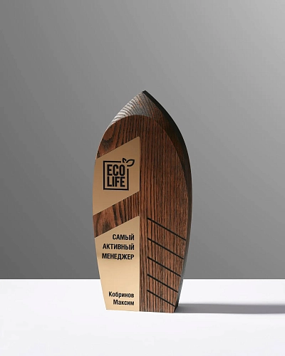 Награда деревянная NN-16 из тонированного ясеня