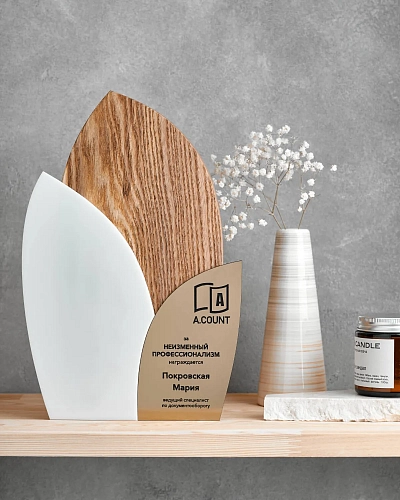 Награда деревянная NN-24 из ясеня, акрила и пластика