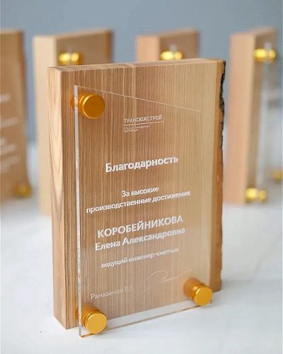 Плакетка деревянная NP-6 из массива ясеня с корой