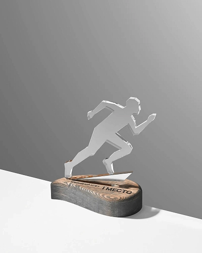 Спортивная награда NN-29 из оргстекла и дерева