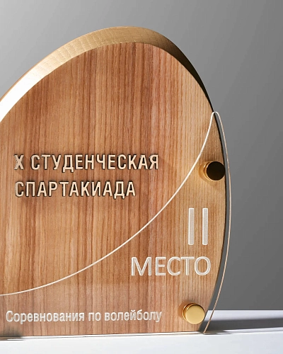 Деревянная награда NN-22 с золотой надписью