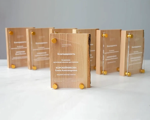 Плакетка деревянная NP-6 из массива ясеня с корой