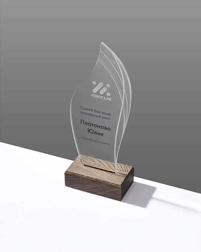 Награда из дерева и акрила NN-4 с цветной печатью