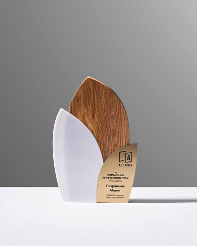Награда деревянная NN-24 из ясеня, акрила и пластика