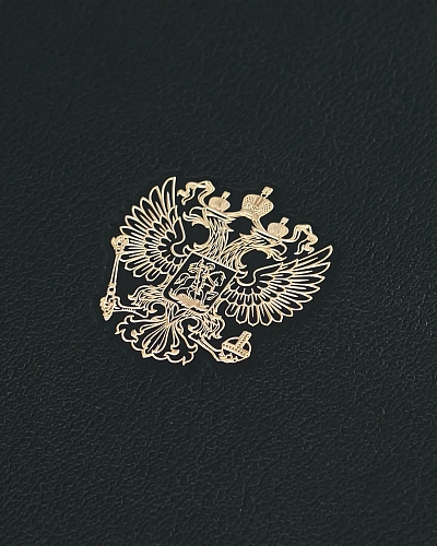 Ежедневник с гербом России ФЕДЕРАЦИЯ черный