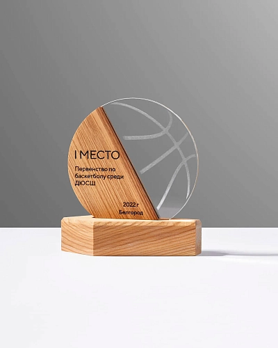 Награда спортивная в форме мяча NN-2