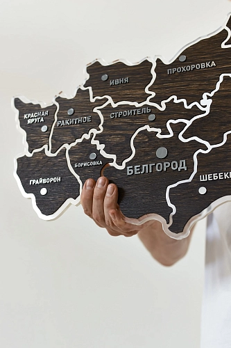 Карта Белгородской области деревянная Silver - фото - 3