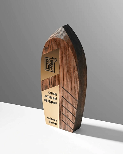 Награда деревянная NN-16 из тонированного ясеня