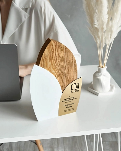 Награда деревянная NN-24 из ясеня, акрила и пластика