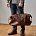 Кожаная дорожная сумка BAGGAGE Bronze Кожаная дорожная сумка BAGGAGE Bronze - фото