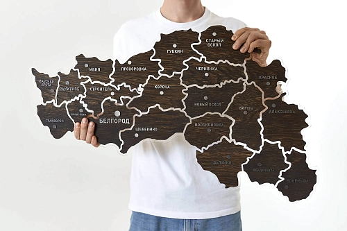 Карта Белгородской области деревянная Silver - фото