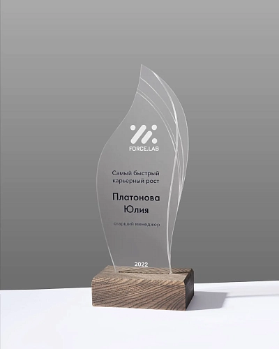 Награда из дерева и акрила NN-4 с цветной печатью