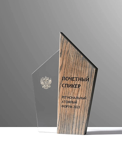 Награда деревянная NN-12ms с оргстеклом и металлостикером