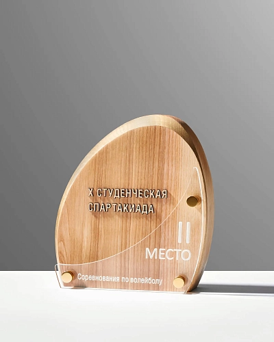 Деревянная награда NN-22 с золотой надписью