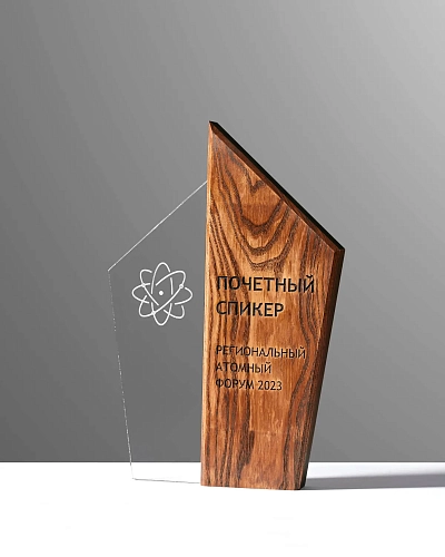 Награда деревянная NN-12 с оргстеклом