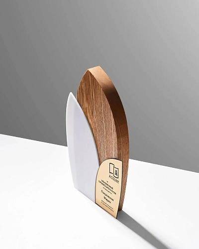 Награда деревянная NN-24 из ясеня, акрила и пластика